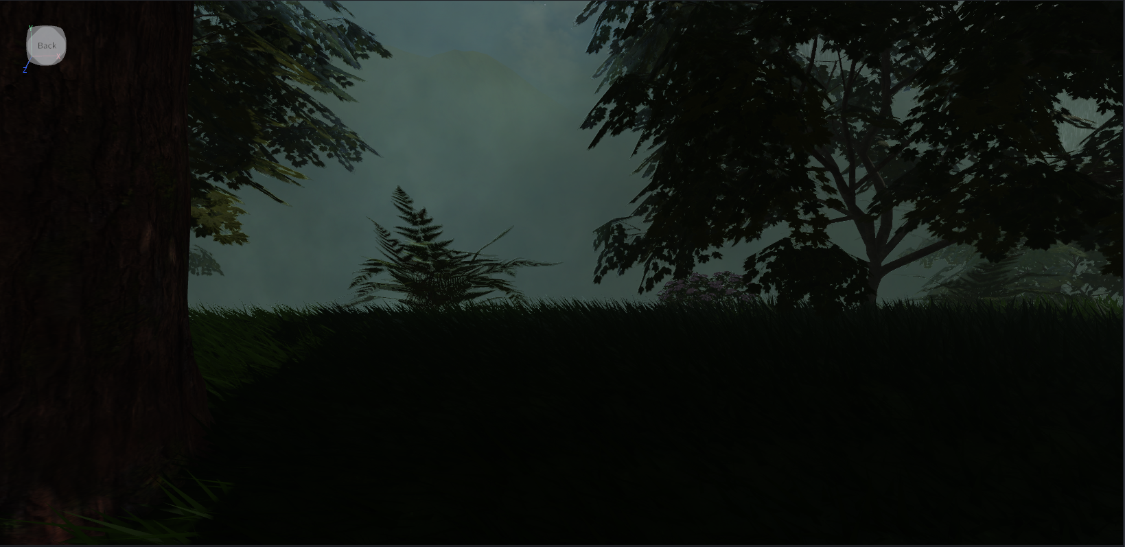 Forest edge — dusk