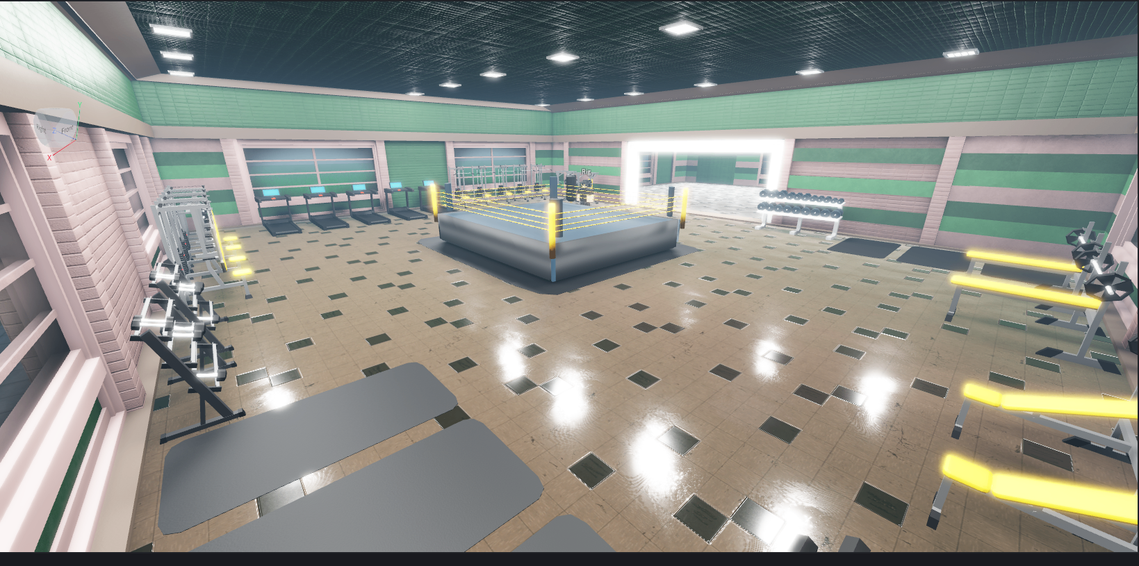 Training floor & ring